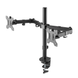 UVI Desk VESA Mount for Two Monitors